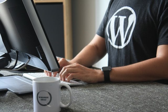Wordpress responsive themes